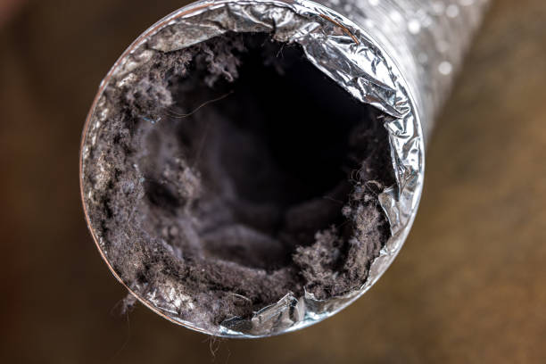 Affordable HVAC Duct Cleaning in WA